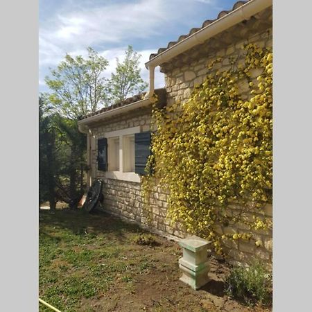 Appartement 2 Pers Avec Acces Piscine Saint-Rémy-de-Provence 外观 照片