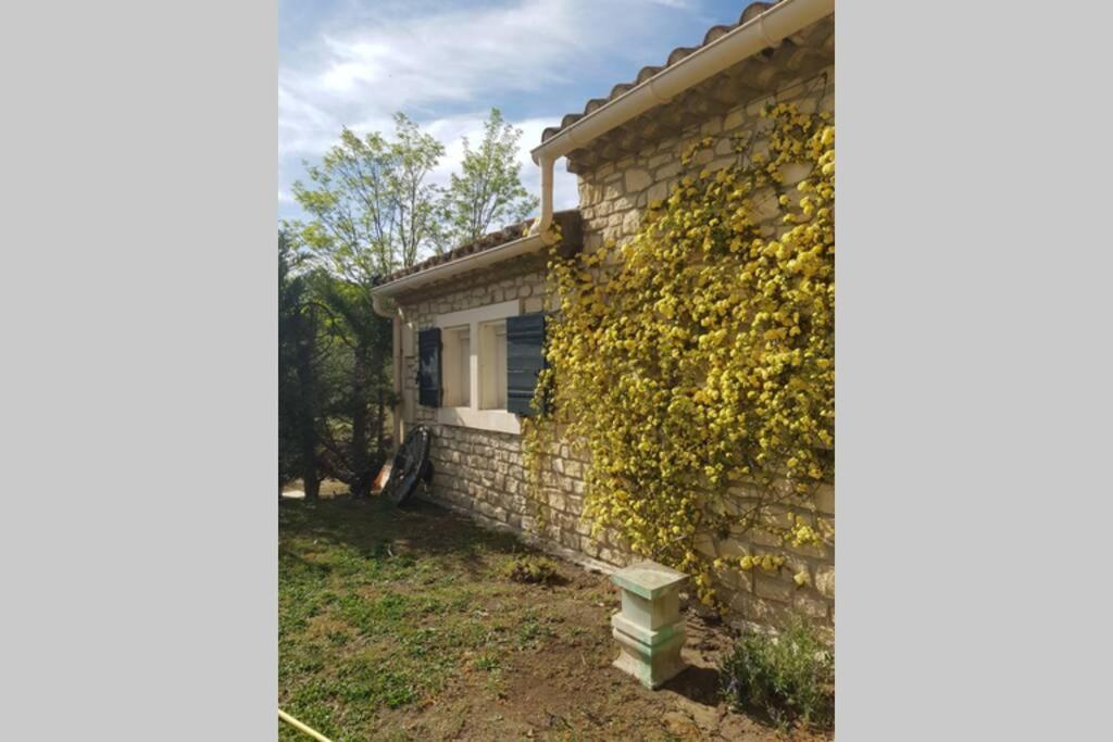 Appartement 2 Pers Avec Acces Piscine Saint-Rémy-de-Provence 外观 照片